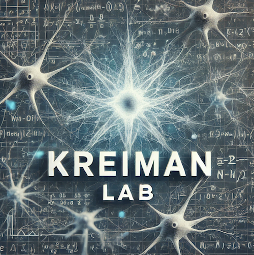 Kreiman Lab